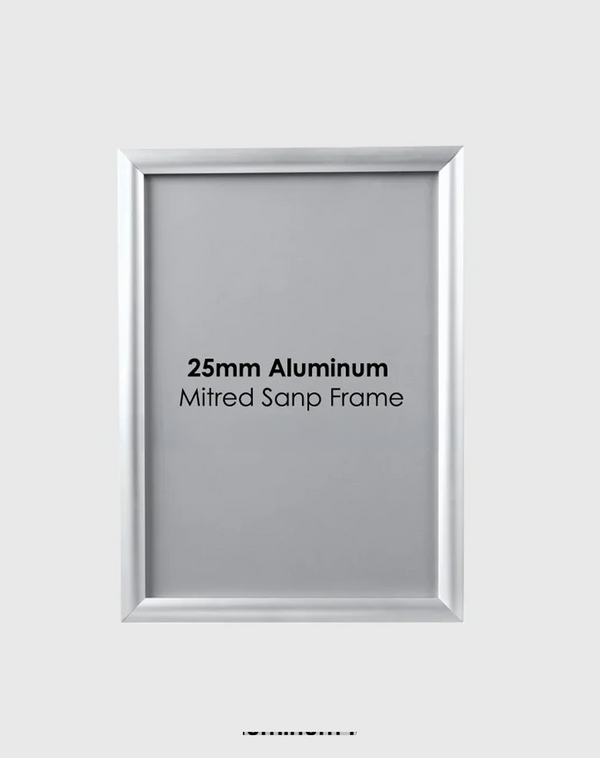 25mm Aluminum Snap Frame