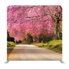 Full Pink Cherry Blossom On Spring In The Morning At North Of Thailand Background Media Wall