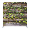 Growing Up Leaves On Wooden Wall Media Wall