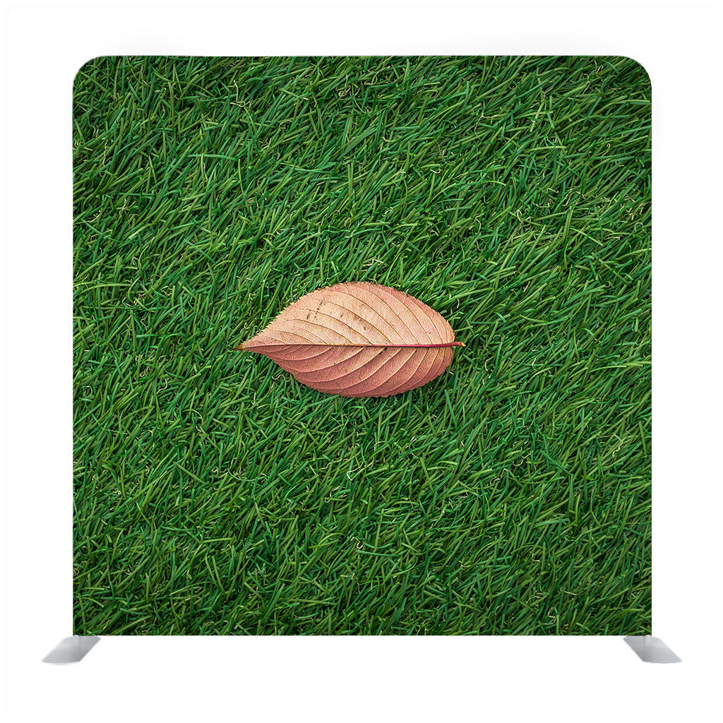 Leaf On Green Grass Backdrop