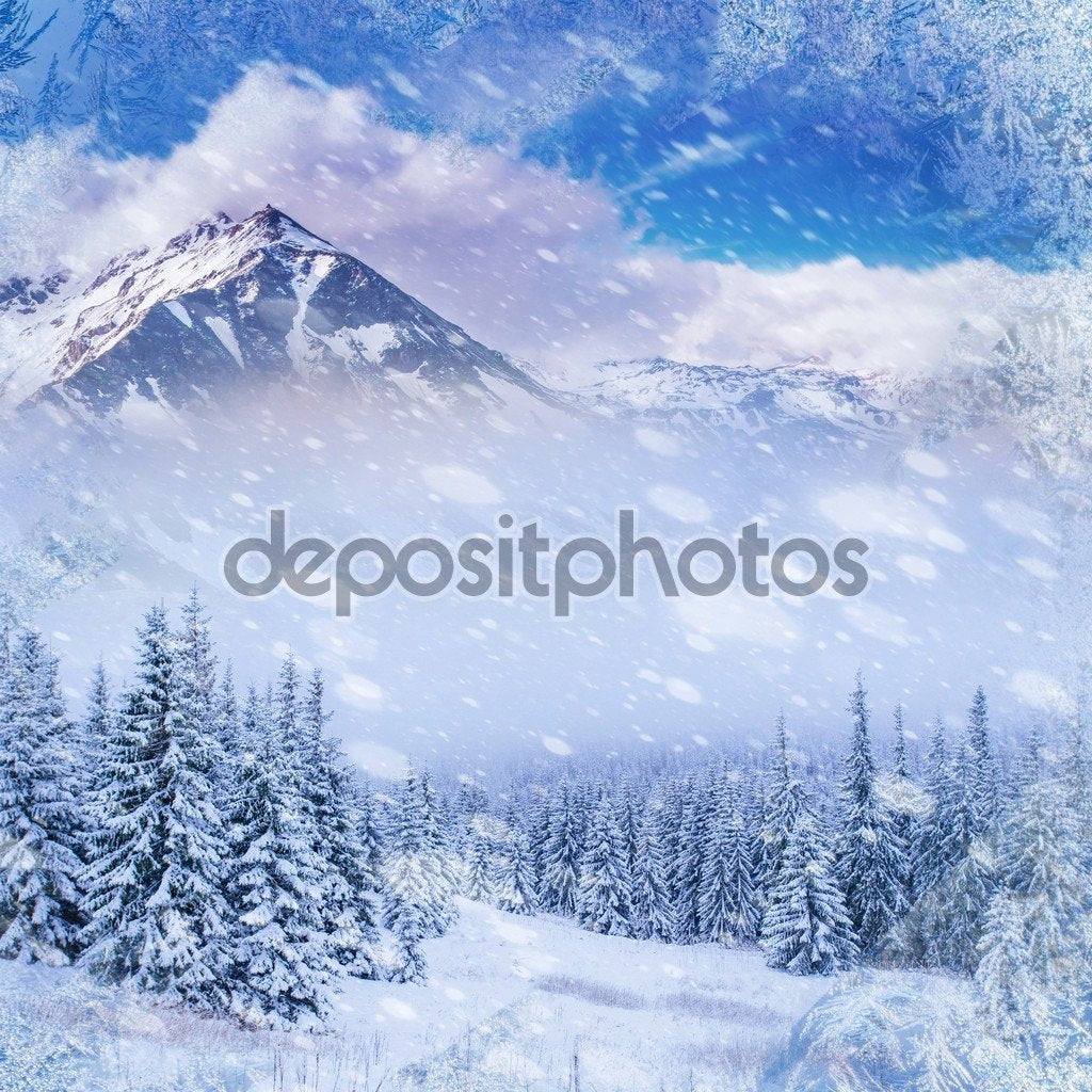 Magical Winter Snow Landscape  Backdrop