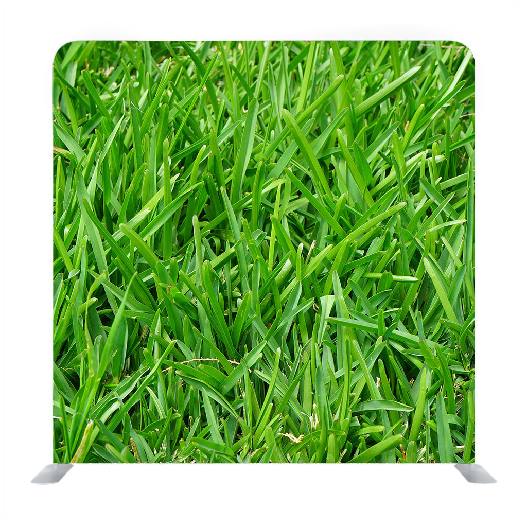 Natural Green Grass Backdrop