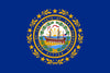New Hampshire State Flag