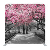 Pink Blossoms in Central Park Black and White Landscape Media Wall