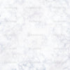 White Marble Wall Indelible Print Fabric Backdrop